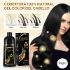 Shampoo Tinte Cubre Canas Ginseng Color Natural Hombremujer