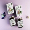 Pear & Bellflower Root Traditional Tea Concentrate 240g (Bottle)