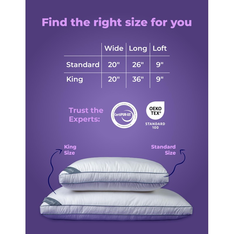 Pillow Fight Knockout - King Pillow, Luxury & Adjustable, Down