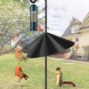 Pavtner 19 Inch Wide Black Squirrel Baffle - Ideal for