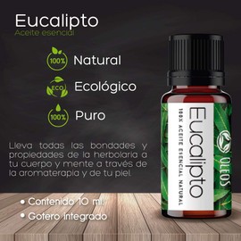 VIDA SCENTS OLEOS Aceite Esencial de Eucalipto 10 ML 100% puro y natural