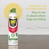 Raid Essentials Ant, Spider & Roach Killer Aerosol Spray, Child
