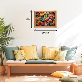 500 Piece Puzzle for Adults - Succulent Plants - Family Jigsaw Puzzle, Gift (Succulent, 500 Pieces)