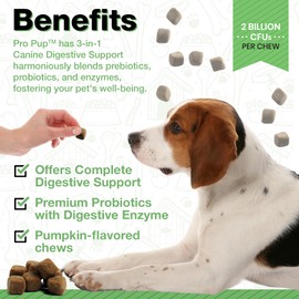 Pawlife Probiotics for Dogs - Diarrhea Relief, Gut Health Support, Constipation Relief, Digestive Health Support - Vet Recommended Dog Probiotics - 120 Soft Chews That Dogs Love - Pumpkin Flavor