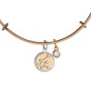 Alex and Ani Zodiac Bangle