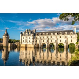 Jigsaw Puzzles 1000 Pieces for Adults -Chenonceaux Castle in Loire Valley France- Premium Wooden Perfect Interlocking Clear Printing