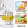 Ice Cube Bottle with Straw - 2 in 1 Water