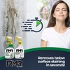 RMR Mold Stain Eraser Max Pack – No-Scrub Tub &