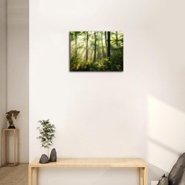 Green Forest Wall Art Tree Pictures of Nature Art Wall Decor Landscape Morning Sunlight Landscape Canvas Wall Art Bathroom Kitchen Bedroom Decorations (Green Forest, 12x16 inch)