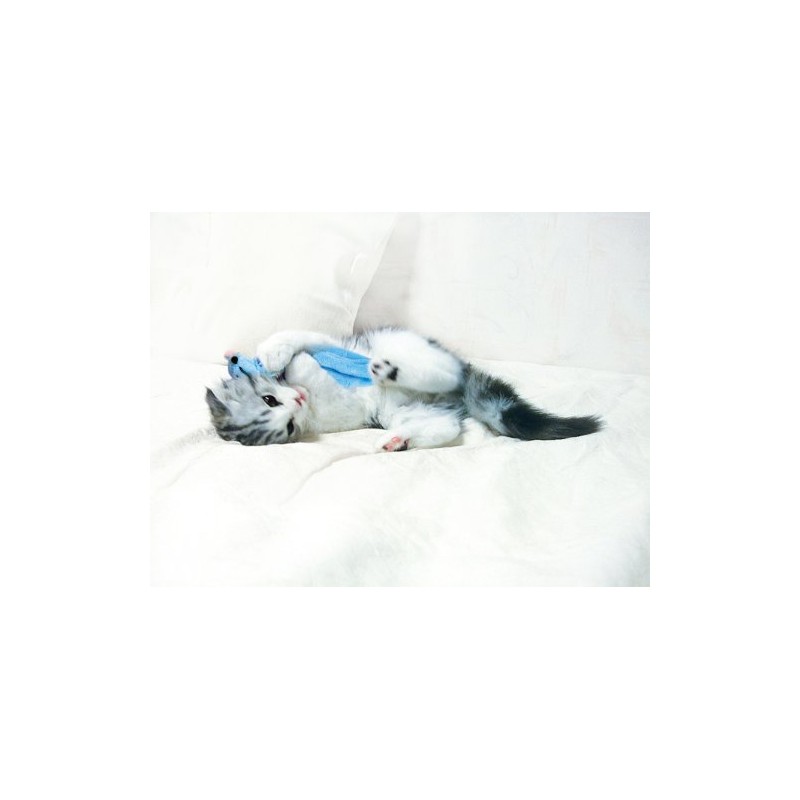 Kong Kong Cat Waba Mouse