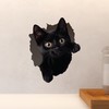 Black Cat Decal - Wall Hole Sticker with 3D Effect