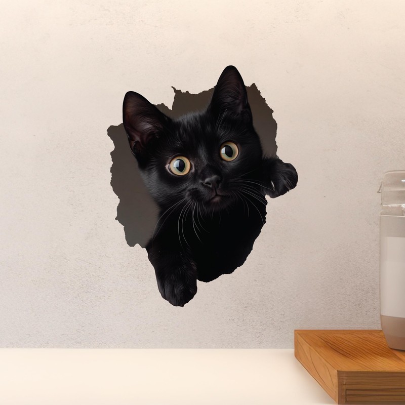 Black Cat Decal - Wall Hole Sticker with 3D Effect