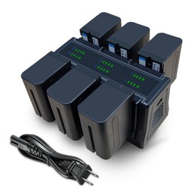 4&6 Pack NP-F970 Batteries 8900mAh and 4/6-Channel Charger Compatible with NP F970, F960, F950, F930, F770, F750, F570, F550, F530, F330 and Handycams, Field Monitor, Video Light (6 Channel&6 battery)