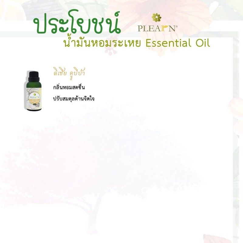 Generic PLEARN 100% Essential Oil, Litsea Cubeba Oil Scent, 30