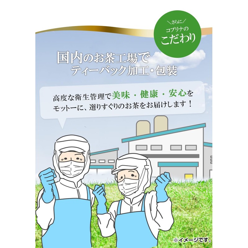 Coplina Domestic Mulberry Leaf Tea, 0.08 oz (2 g) x