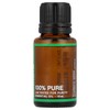 Nature's Fusions Australian Eucalyptus Radiata 15 ml, 100% Pure Therapeutic