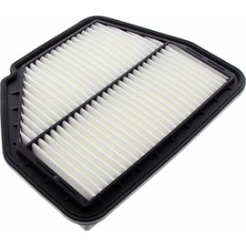 Ryco Air Filter (A1638)