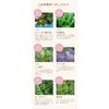 Okinawa Child Raising Goods, Aroma Sunburn Natural 1.1 oz (30