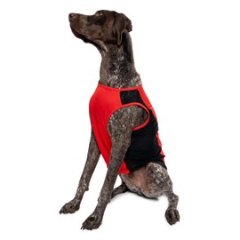 Insect Shield Pet Breathable Sleeveless Mesh Airflow Tank Top with Built in Bug and Tick Protection, Poppy, Large