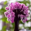 Mad Monkey Magic Sakura Tree Artificial Cherry Blossom Tree Aesthetic