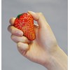PLAY WOOD Fruit Shaker