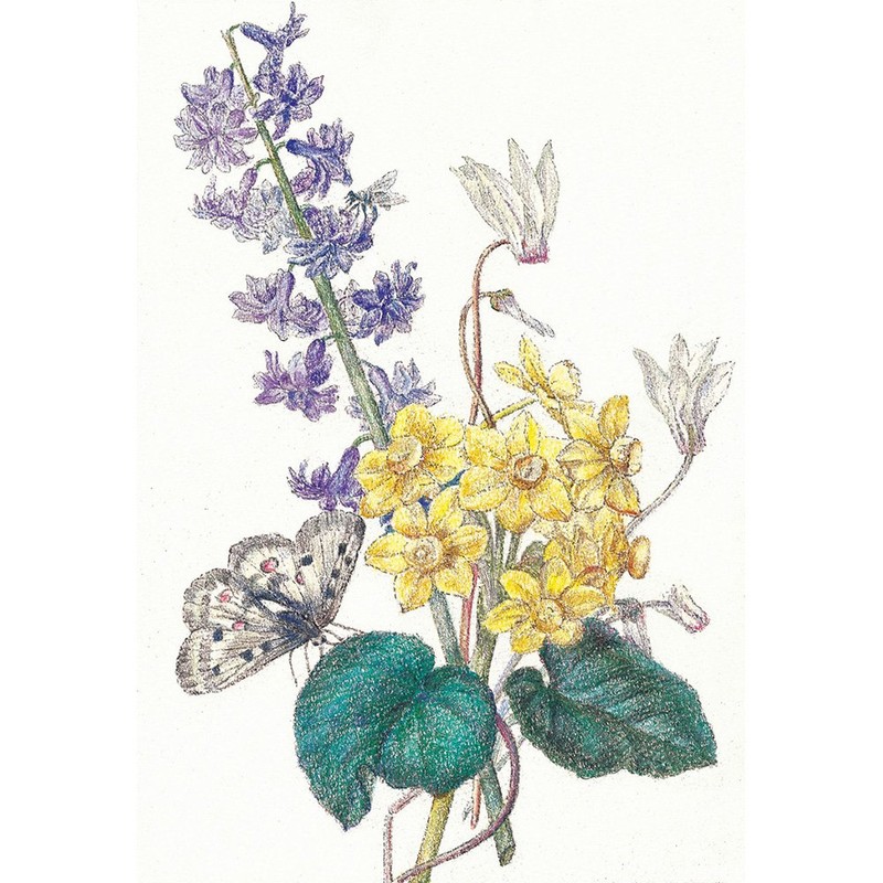 Sakura Coupy - Pencil Pastel Crayons, set