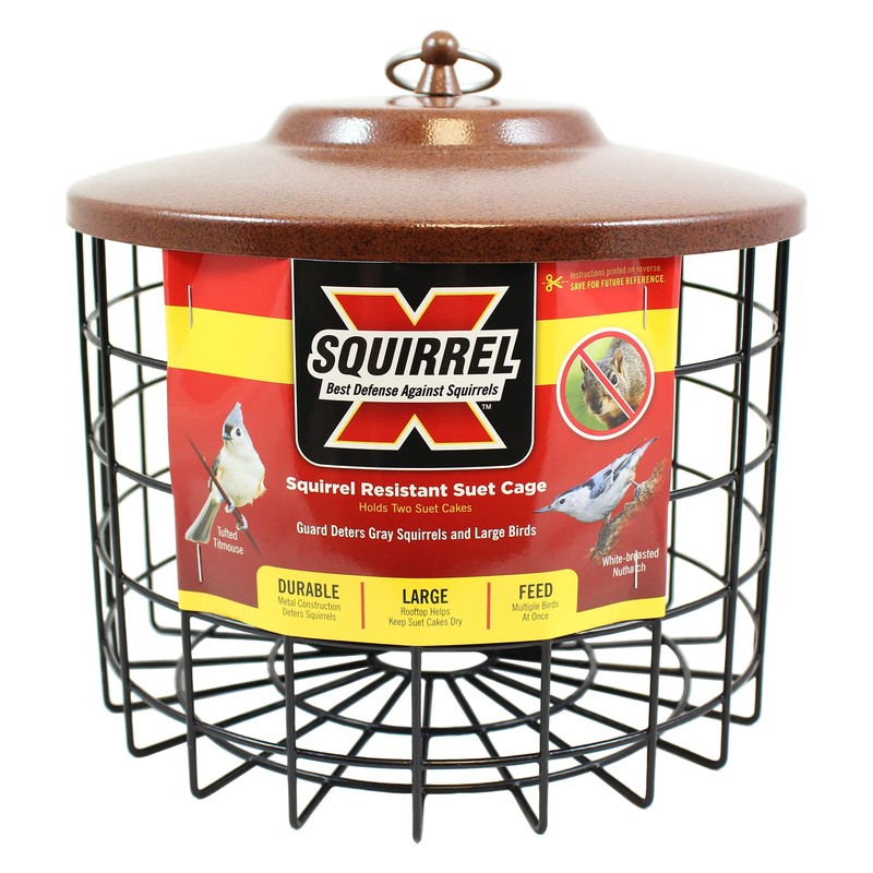 More Birds Bird Feeder- Double Cage