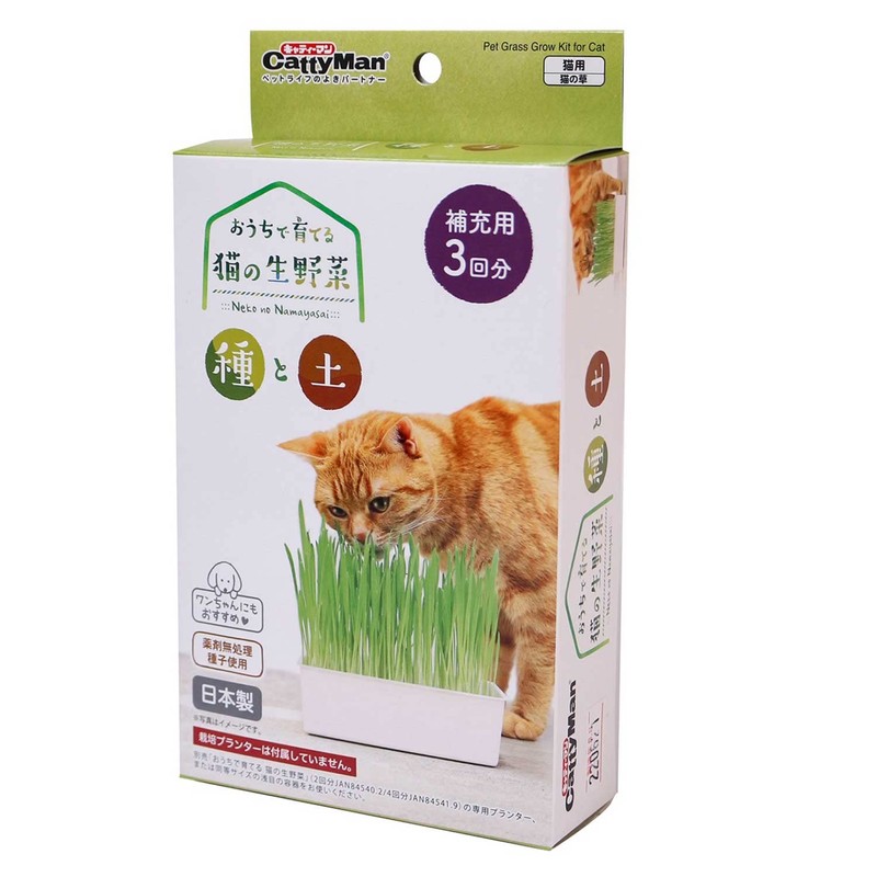 Cat Man Grown at Home, Raw Cat Vegetables, Seeds and