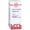 DHU Phytolacca D12 Tablets, Pack of 80 Tablets