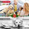 Christmas Squeaky Plush Dog Rope Toys Set, 6 Pack Puppy