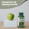 Vorst Milk Thistle Extract 25:1 150mg (3750mg raw herb) 3