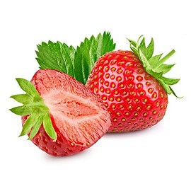 Strawberry, Berries Galore Hybrid