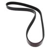 MAPCO V-Ribbed Belts (261055)