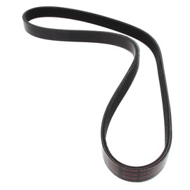 MAPCO V-Ribbed Belts (261055)