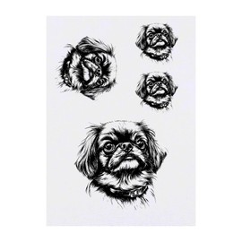 4 x 'Pekingese Portrait' Temporary Tattoos - Water Resistant, Skin-Safe, Non-Toxic Transfers, Mixed Sizes (TO00081578)