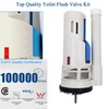 2-inch Toilet Flush Valves Assembly Compatible with Water Ridge One