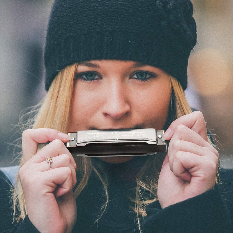 Eastar Major Blues Diatonic Harmonica 10 Holes C Key Beginners