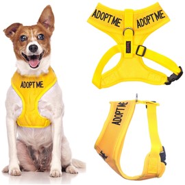 Adopt ME (I Need A New Home) Yellow Color Coded Non-Pull Front and Back D Ring Padded and Waterproof Vest Dog Harness (Medium Harness 19-28inch Chest/Girth)