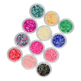Healeved 24pcs Colors Nail Art Shell Powder Kit for Manicure Vivid Nail Decoration for Women for Natural and Artificial