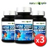 MSM 2000 Dietary Sulfur for Joint, Knee, and Cartilage Health