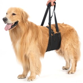 Avont Dog Carrying Aid - Dog Loop for Large Dogs Hind Leg Support, Lifting Aid with Handle and Strap for Hip Dysplasia, Canines Lifter Support Harness for Elderly Dogs - Black M