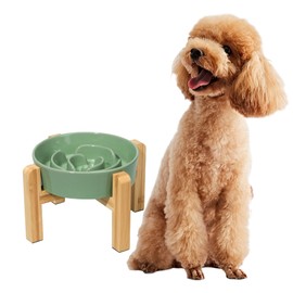 Elevated Slow Feeder Dog Bowl - Ceramic Maze Food Dish with Bamboo Stand - Raised Feeding Bowl for Fast Eaters - Ideal for Small and Medium Dogs - Green - 6.7 inch