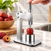 Stainless Steel Fruit Corer for Easy Pit Removal – Manual
