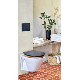 Wirquin 55722890 Square wall-hung toilet flush plate, black