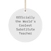 Funny Substitute Teacher Gifts from Friends for Christmas, 'Officially The