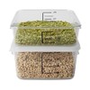 Rubbermaid Commercial contenedor Ahorra Espacio, Solo contenedor, Transparente