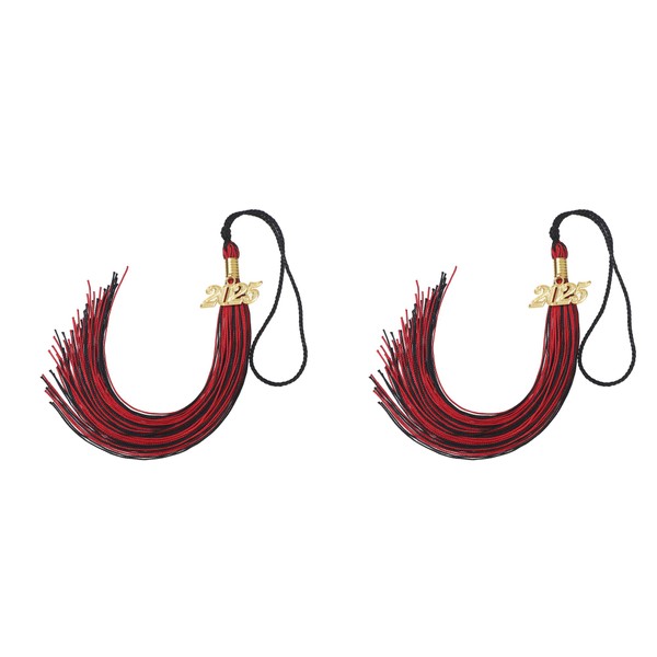 D DODOU 2 Pieces Graduation Tassel with 2025 Year Charm,