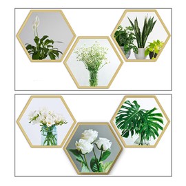 Sicheii Hexagon Gold Trim Plant Flowers Art Magic Pictures Peel and Stick 3D, 2 Sheet Vinyl Removable Wall Stickers Decals, Decorative PVC Home Decor for Living Room Bedroom TV Sofa Backdrop