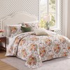 Floral Quilt Set Queen Size, Farmhouse Bedspread Bedding Set with
