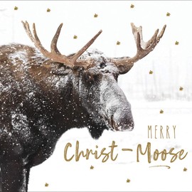 Pack of 5 Delights Of December Christmas Cards Supporting Multiple Charities 457531